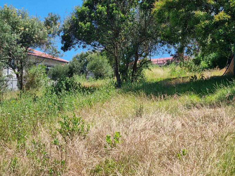 0 Bedroom Property for Sale in Groot Brakrivier Central Western Cape